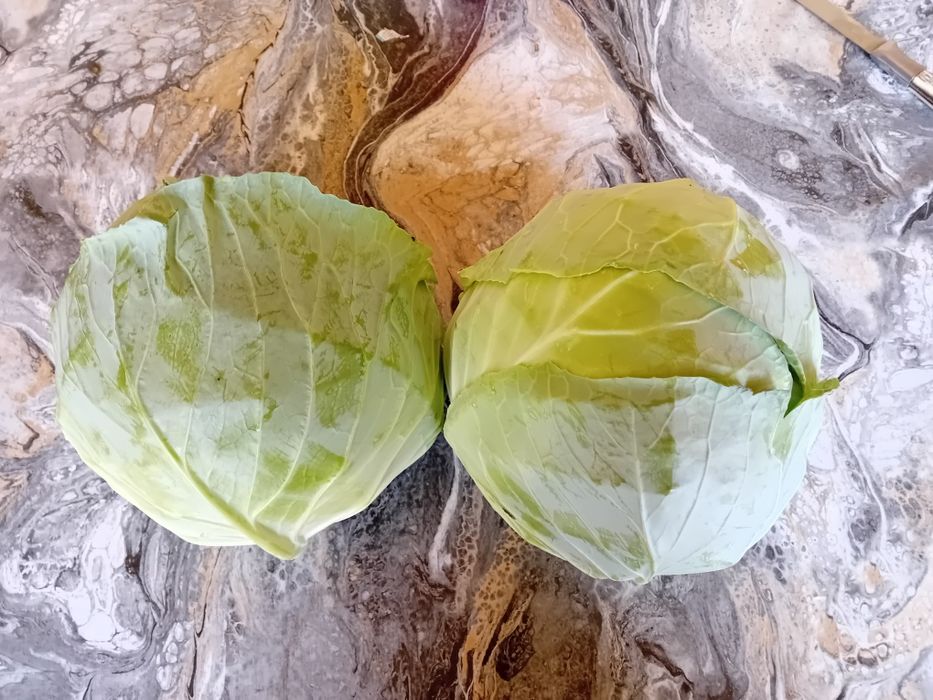 Vând varză Bucarest propria recolta