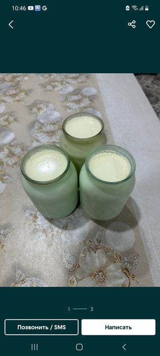 Эчкини сути бор уйники