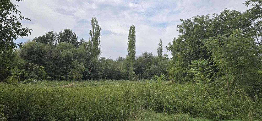 PROPRIETAR VAND 2 TERENURI intravilane - loc. CALACEA, Timis