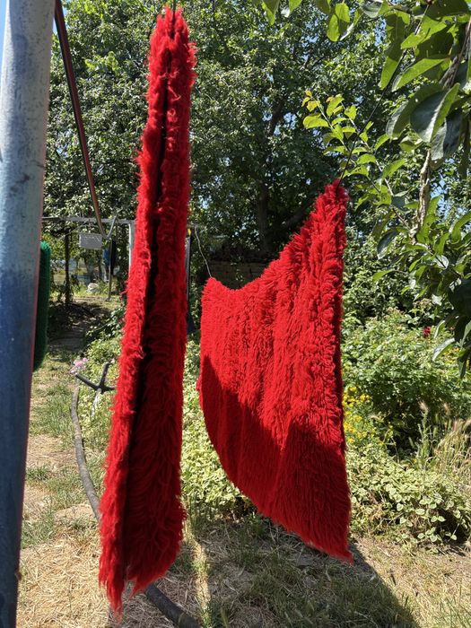 Губери/ китеници в отплично състояния