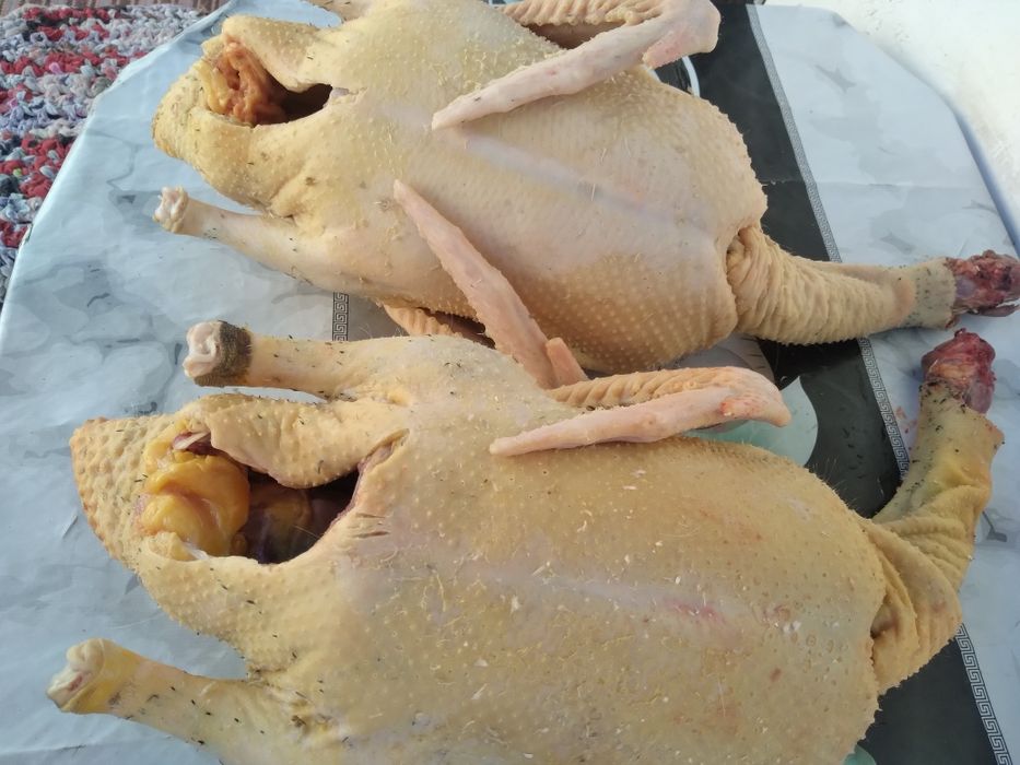 Домашнии тушки уток недорого