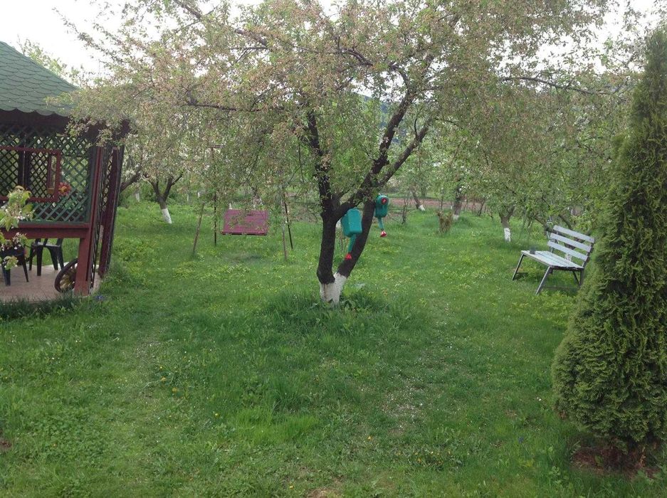 Vilă de vânzare în Vădurele - Alexandru Cel Bun, Neamț