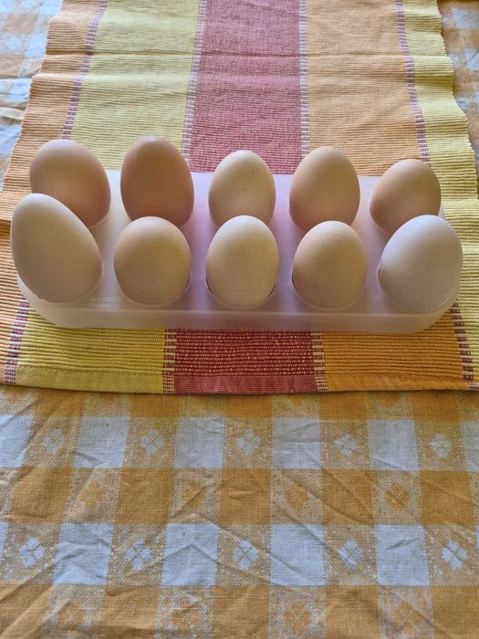 Oua proaspete de casa