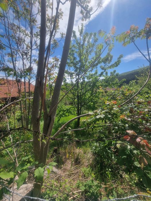 Продава се Парцел в Дупница - 503 кв.м за 36 €/кв.м - Снимка #2