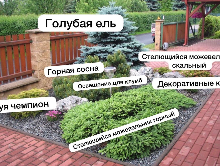 Ланшафтный дизайн