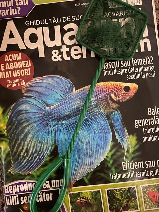 Acvariu de 120 litri cu pești