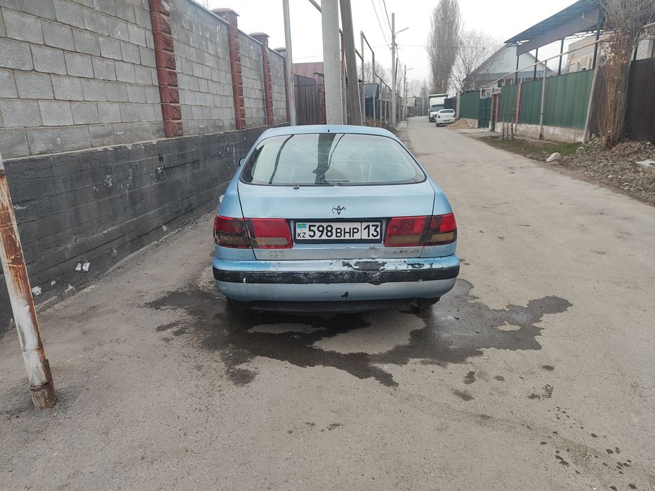 Карина Е Karina E