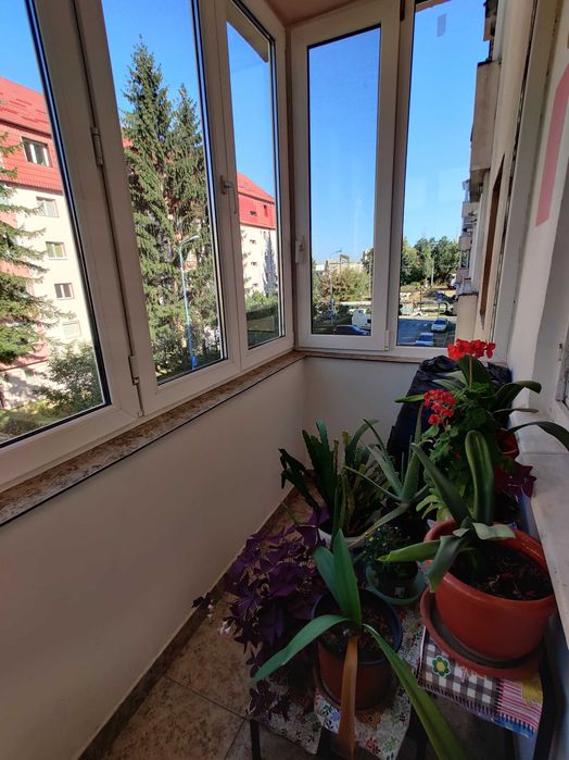 Apartament cu 4 camere in Brasov