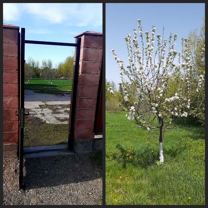 Үй сатылады 20 соттық жерімен