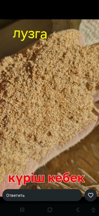 Күріш кебегі.  Рисовая лузга для скота оптом.