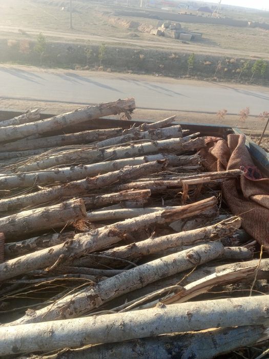 utin sotiladi nishon geres