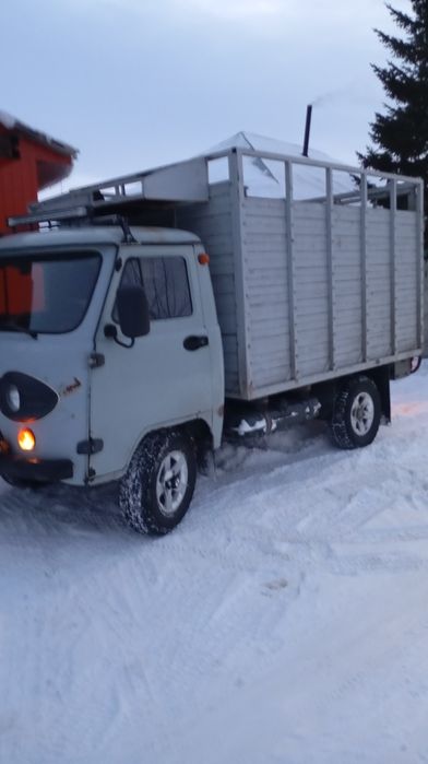 Грузоперевозки а также перевозка животных город шемонаиха