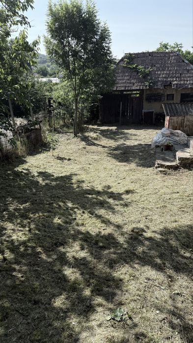 Vanzare Casa cu teren 1450 mp Ortelec