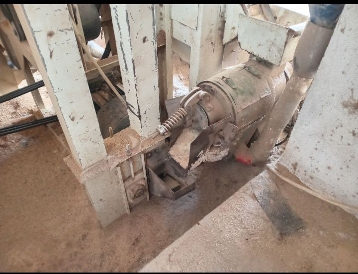 Шоли тегирмон гуру чикаради