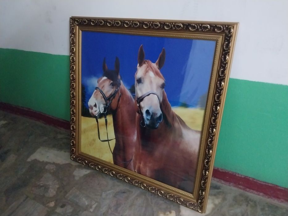 Красивая Картинка лошадь