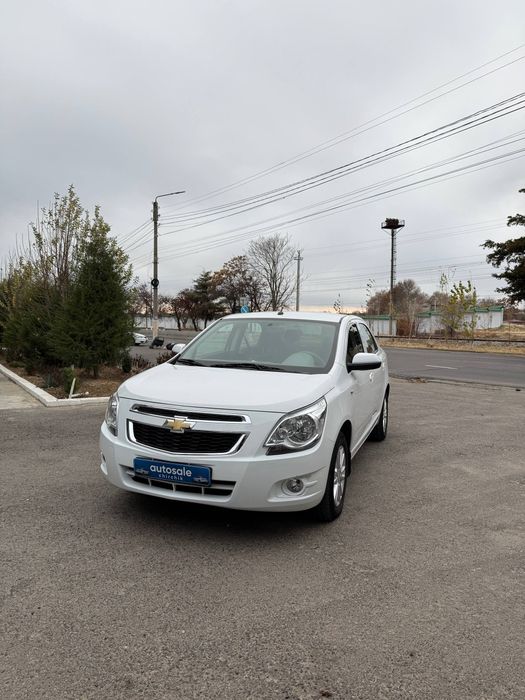 Kobl ttozza 2023 kam yurgan