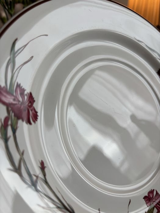 Чинии Villeroy boch - botanica