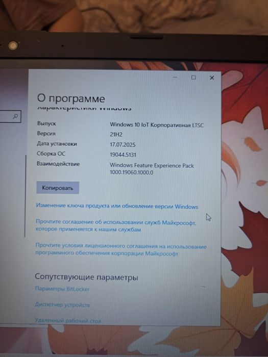 Ноутбук HP с мышкой