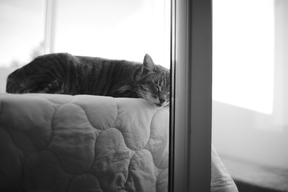 Voigtlander Nokton Classic 35mm f1.4 II SC - montura Leica M