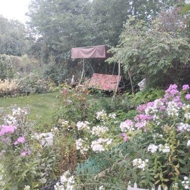 Дача. Заречный 2. Тополек.