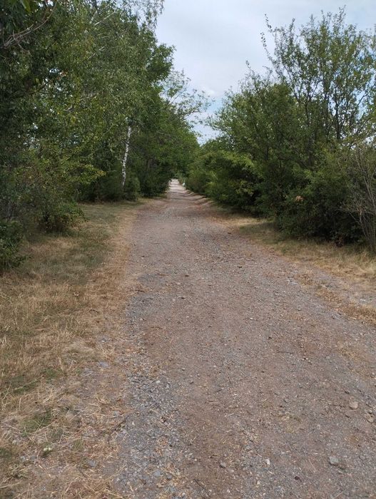 Продава се Парцел в Банкя - 1572 кв.м за 166 €/кв.м - Снимка #1