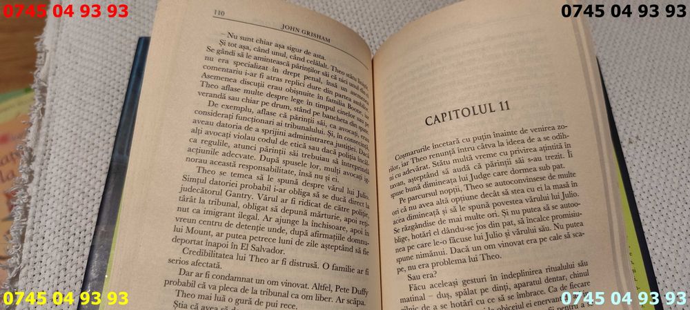 carte carti THEODORE BOONE Pustiul avocat de John Grisham