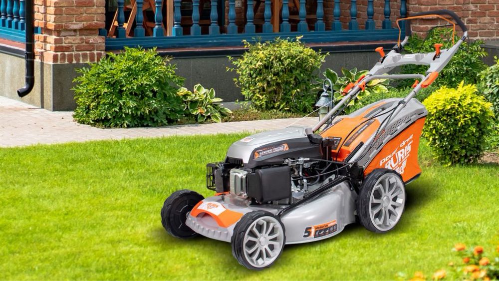 Serviciu lunar de ingrijire gradina