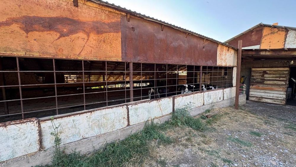 Продаётся фермерское хозяйство 11 га..