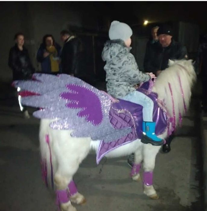 конь, пони, трон