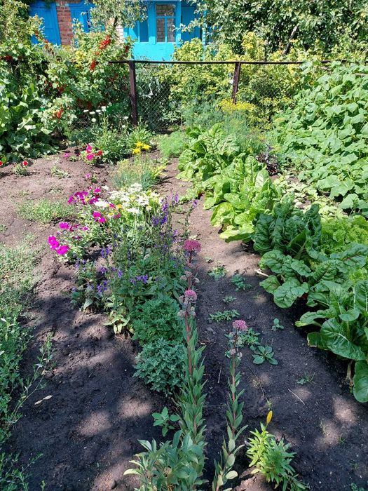 Продам дачу! Лада, р-н Новопавловки, ,ТОРГ!