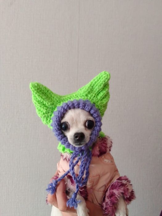 Шапочки для собак