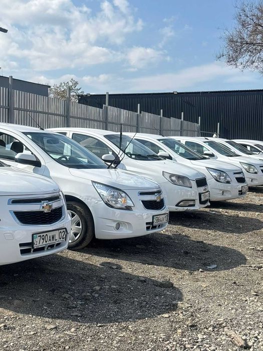 Сдача автомобилей под выкуп.