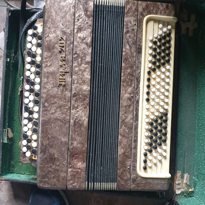 Acordeon / acordeoane diverse marci si marimi