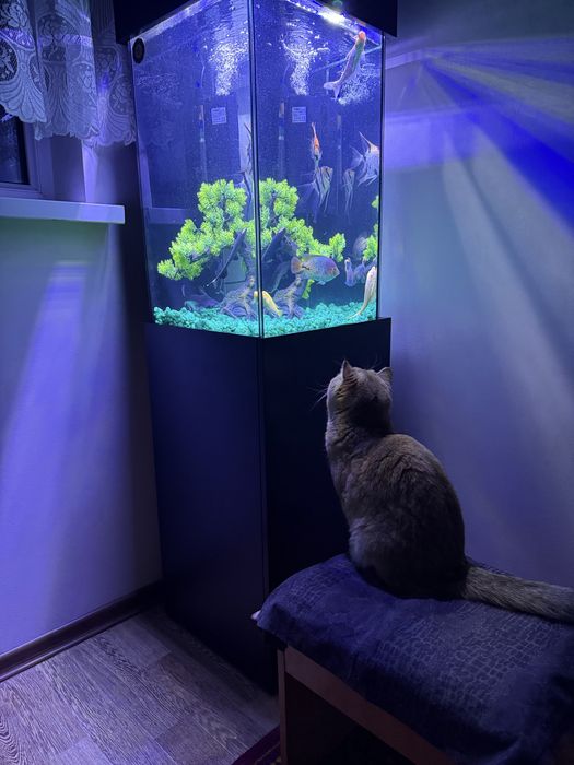 Продается Hi tec аквариум почти новый на 120 литров