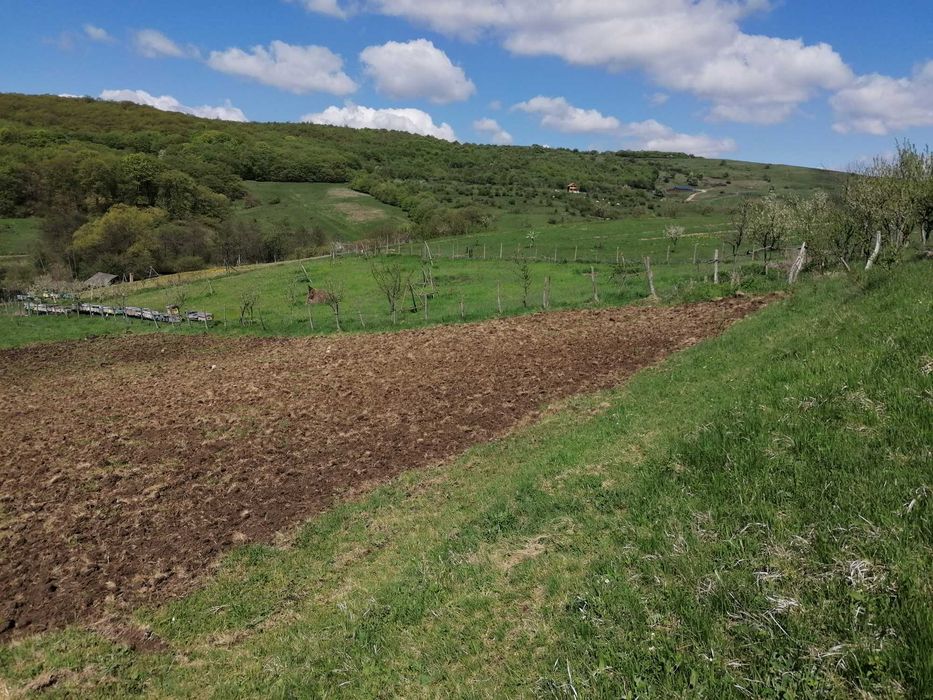 Teren de vanzare Valea Garbaului