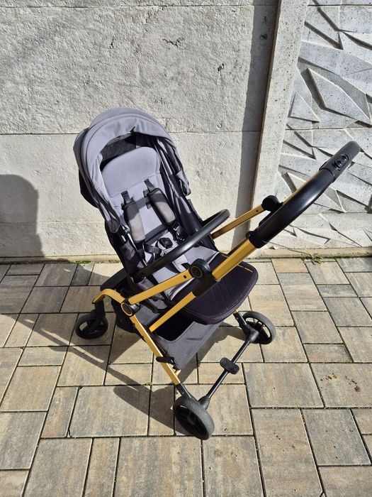 Carut Chipolino Twister