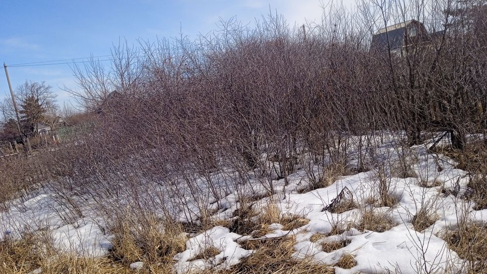 Продам дачный участок