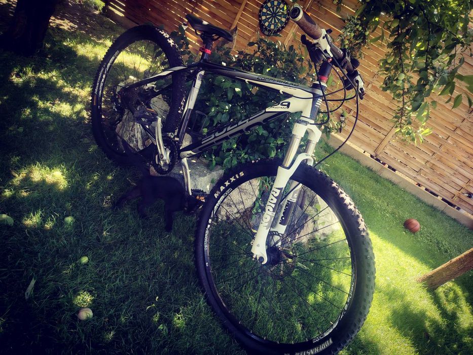 Bicicleta Bulls 29