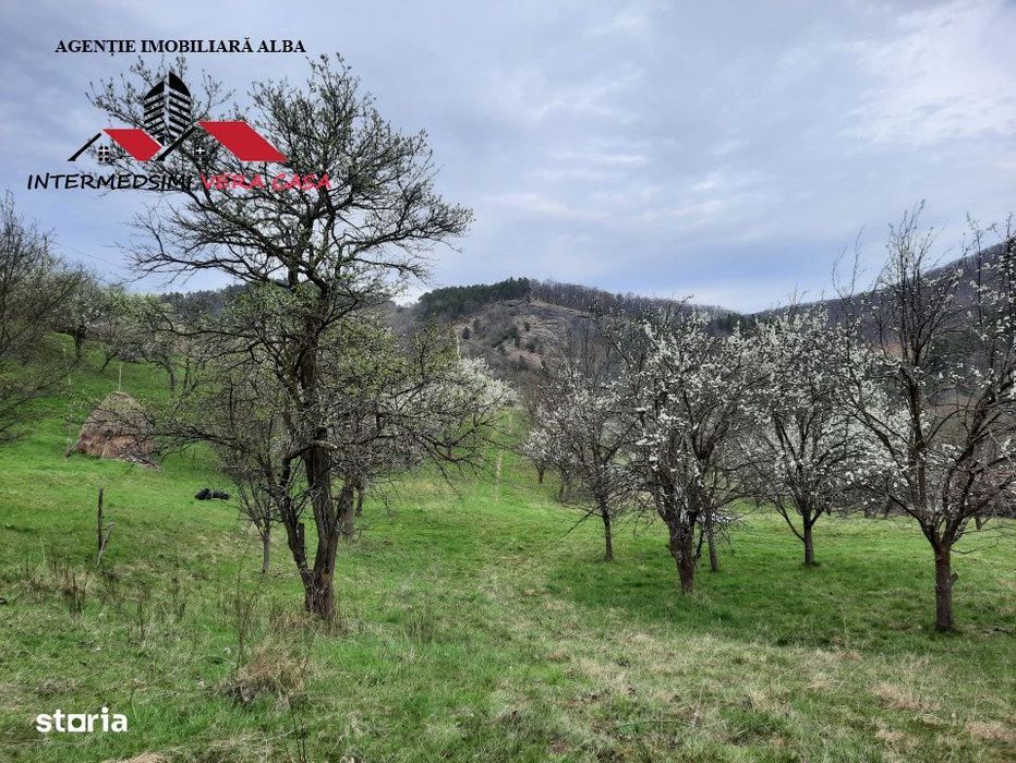 Teren intravilan 1500 mp de vanzare in Inuri Jud Alba