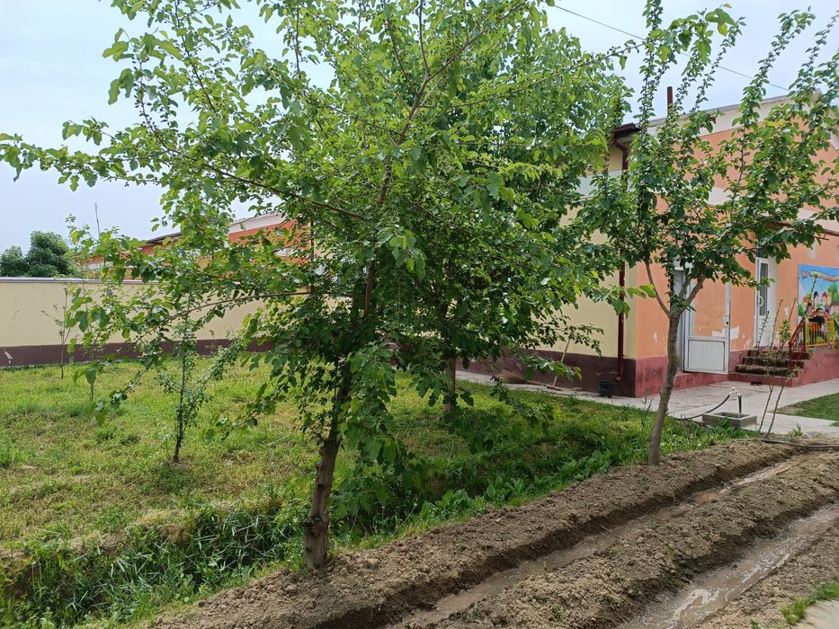 Уй сотилади. Коттедж