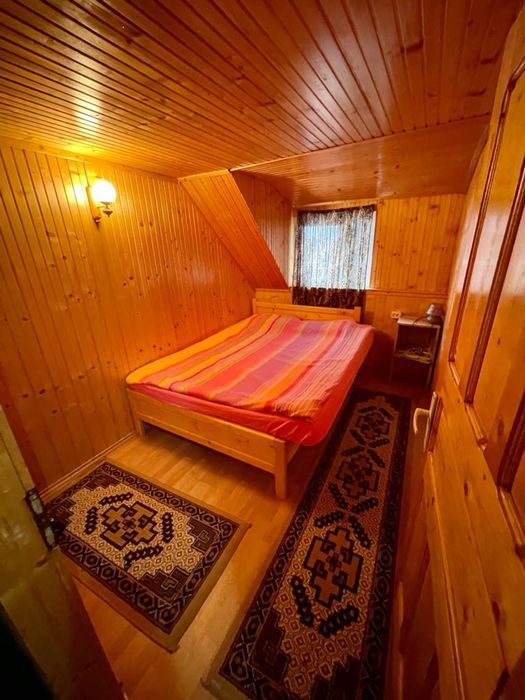 Cabana in Muntele Baișorii