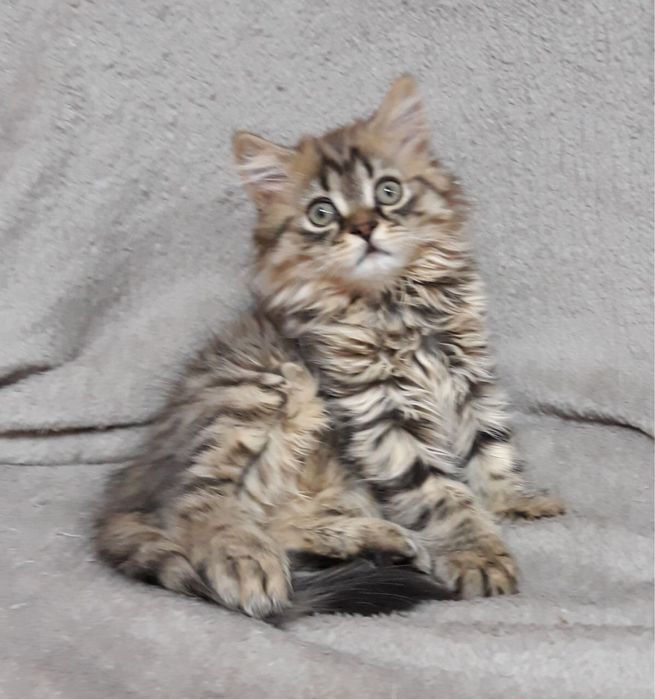 Очаровательный красавчик