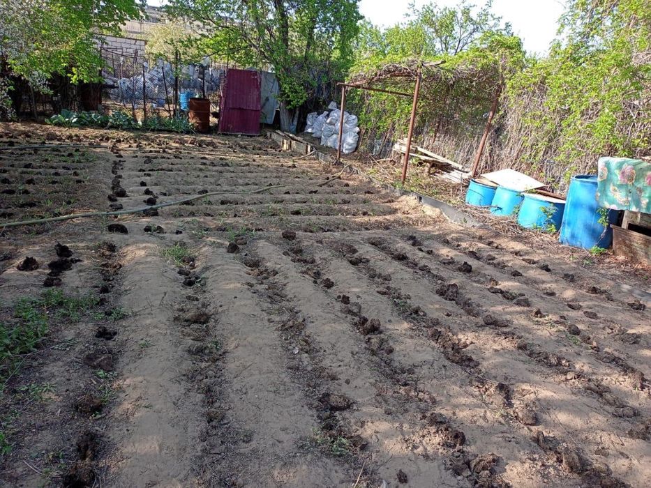 Продам срочно Огород СОТ Оазис в черте города.