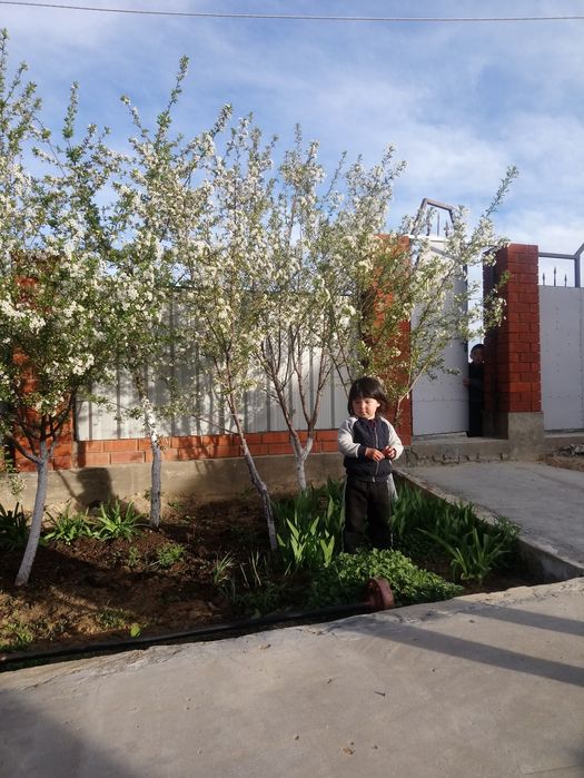 Продам дом в п. Сазды 2