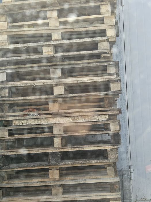 Продам паддон 1,2 да 1