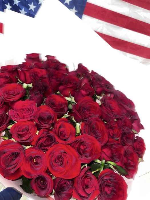 51 роза метровая