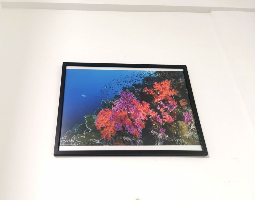 Tablou imagini subacvatice rechini corali 40x30cm
