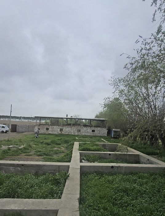 Тошкент вилояти Бука туманида ховли сотилади