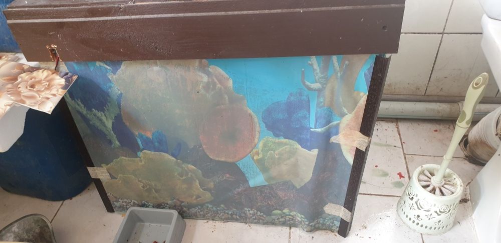 Большой аквариум- террариум