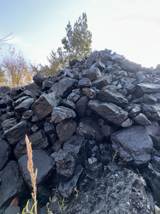 Кумир уголь Шибаркуль премиум